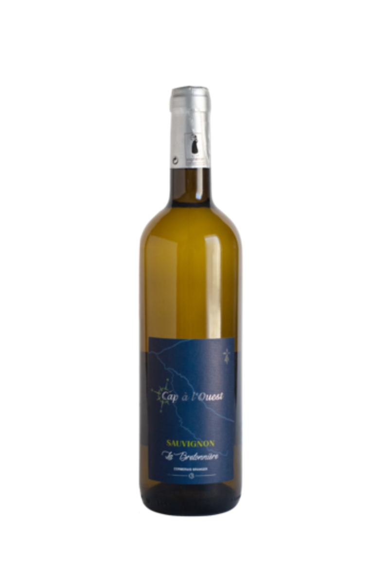 CAP A L OUEST  IGP sauvignon. Vin blanc sec tranquille-carton de 6 bouteilles