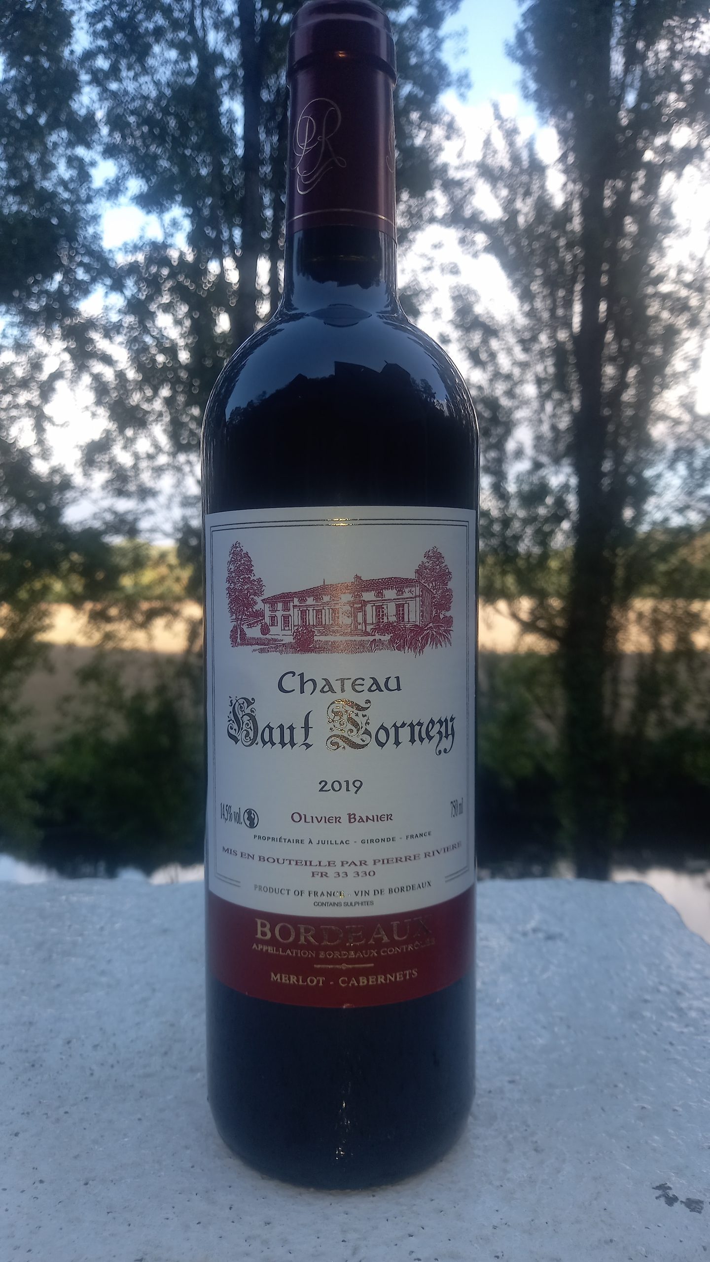 CHATEAU HAUT TORNESY - BORDEAUX AOC - 2019 - CART 6