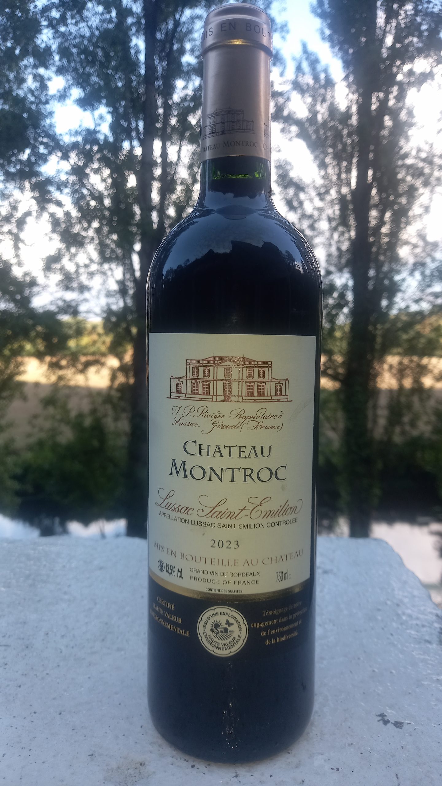 LUSSAC SAINT EMILION - CHATEAU MONTROC - 2023 CART 6
